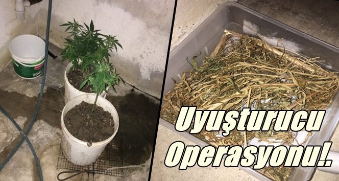 Uyuşturucu madde ele geçirildi