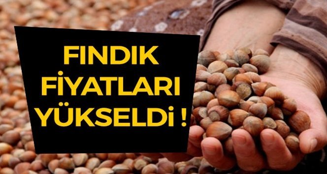 Fındık’da rekor artış!.