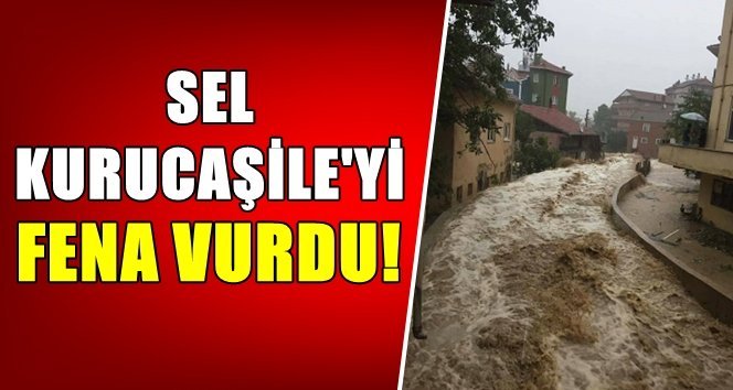 Bartın’da yağmur etkili oldu, dereler taştı!.