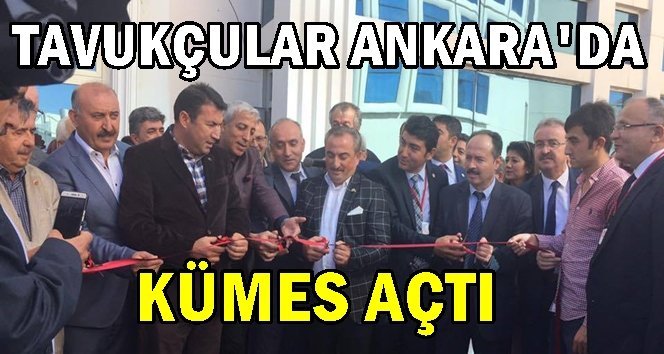 Tavukçularında artık Ankara’da evi var…