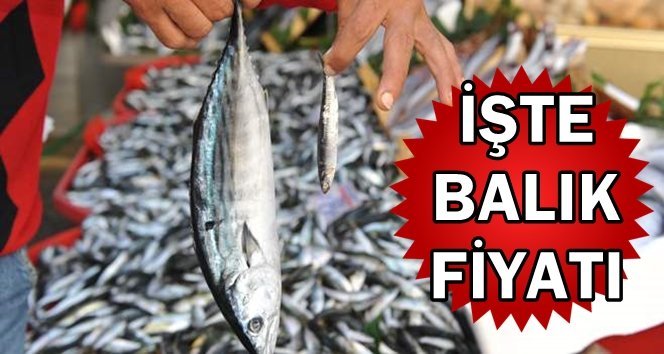 Av yasağı kalktı, tezgahlarda son durum…