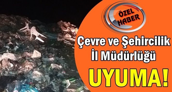 Burası Filyos’un çöp mezarlığı!.