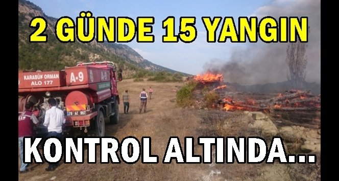 Ormanlar cayır cayır yandı…