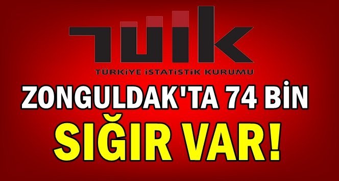 Açıklama geldi.. 74 bin sığır var!.