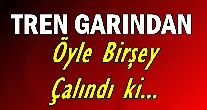 Hırsızlar bunu da yaptı!.