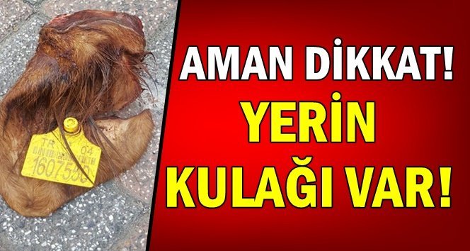 Dedikodu yapmayın yeter! Aman…