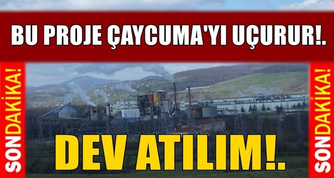 Ağaç kabuğu ve siyah likörden elektrik üretilecek!…