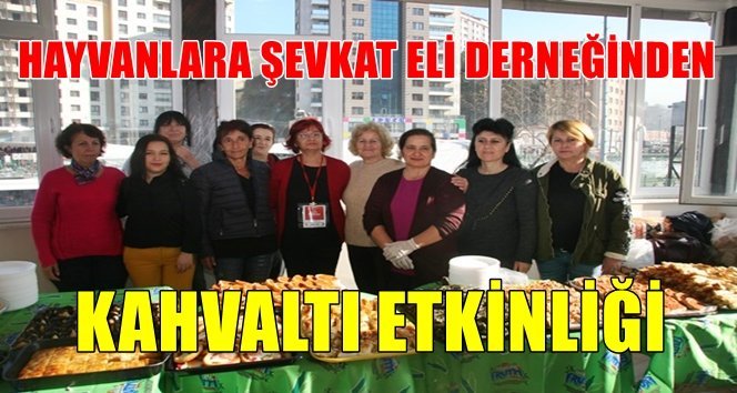 Sokak hayvanlarını korumak için bir araya geldiler…