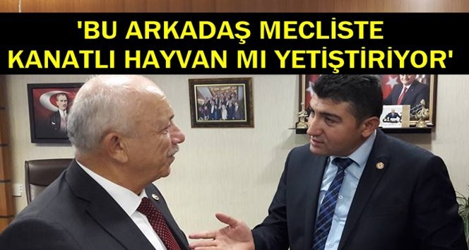 Ali Rıza Tığ yazdı; “Kanatlı Osman!”