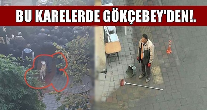 Köpek sıraya girdi, temizlikçi süpürgesini yere attı!. Onlarda saygı gösterdi