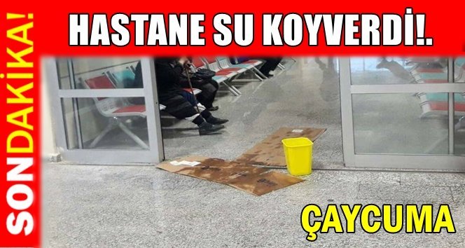 Fıkra gibi!. Pes doğrusu!..