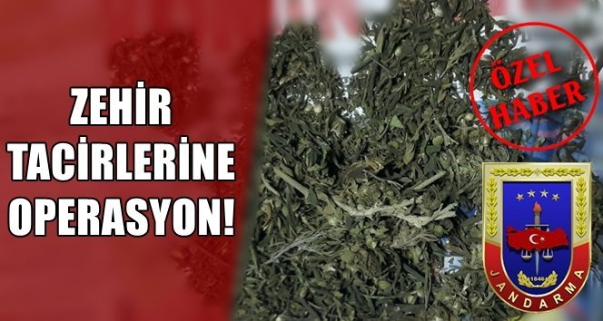 Operasyon…Operasyon…Operasyon…