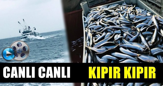 Karadeniz’den sofralara…