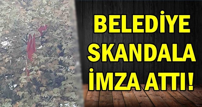 Topladılar ama unuttular!…