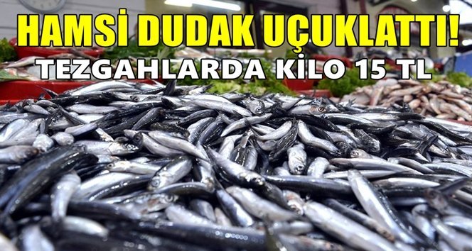 Sofraların bereketli balığı “Hamsi” fırladı!…