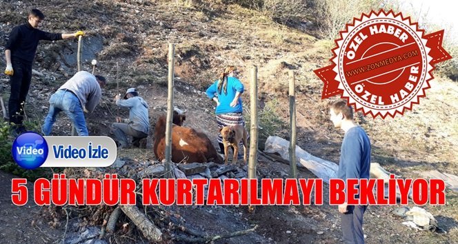 Uçuruma yuvarlandı…