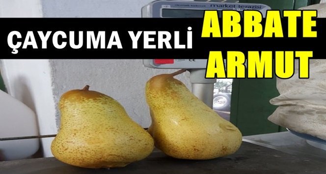 Alan pişman, almayan bin pişman!.