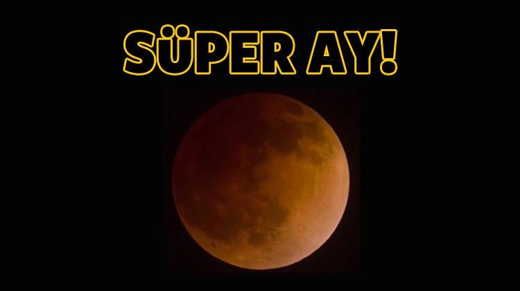 Zonguldak’ta görüldü…