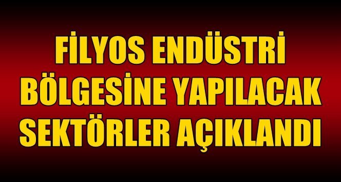 Filyos’un Endüstri alanı belirlendi. İşte detaylar…