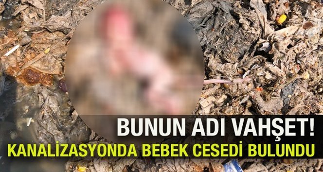 Bu haber Zonguldak’tan!…