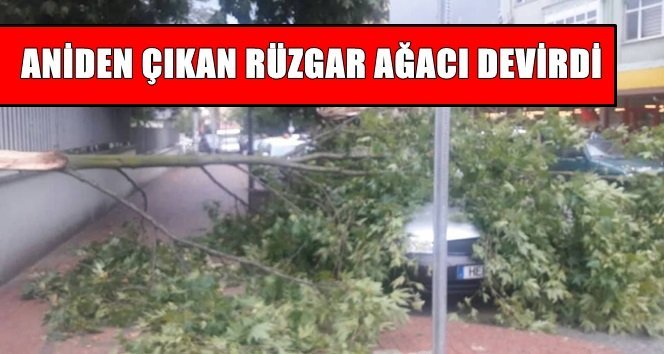 Çaycuma´da korku dolu dakikalar…