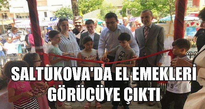 Çaycuma Halk Eğitim Müdürlüğünden yıl sonu sergisi