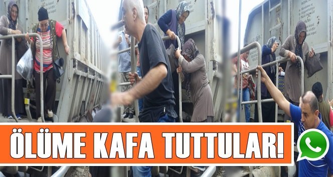 Akıllanmıyoruz! Pes doğrusu!…