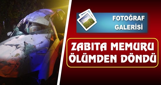 Önüne çıkan inek az kalsın öldürüyordu!.