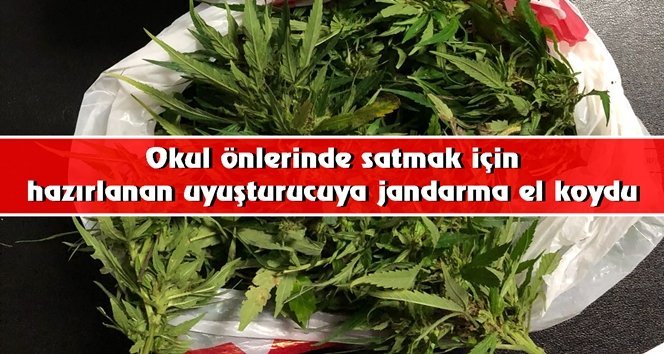 Jandarmadan başarılı operasyon…