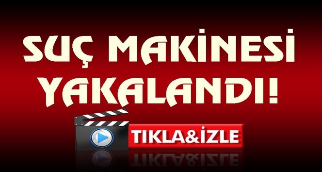 Tecavüz, hırsızlık ve sapıklık ne ararsan var!.