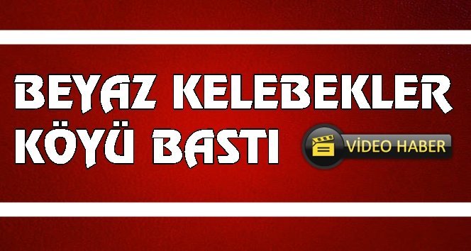 Nefes aldırmıyorlar. 1 değil binlerce geldiler!.