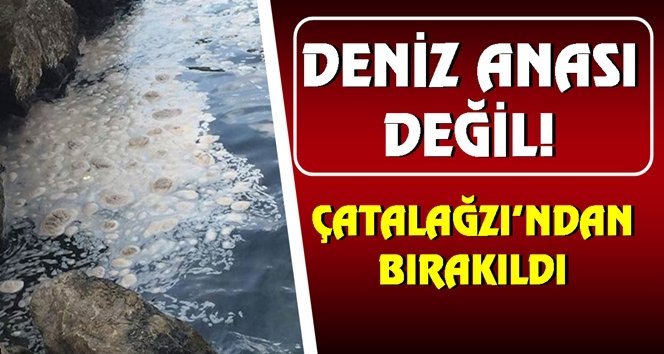 Uyarı!. Denize bırakılan küller tehlikeye davetiye çıkardı!
