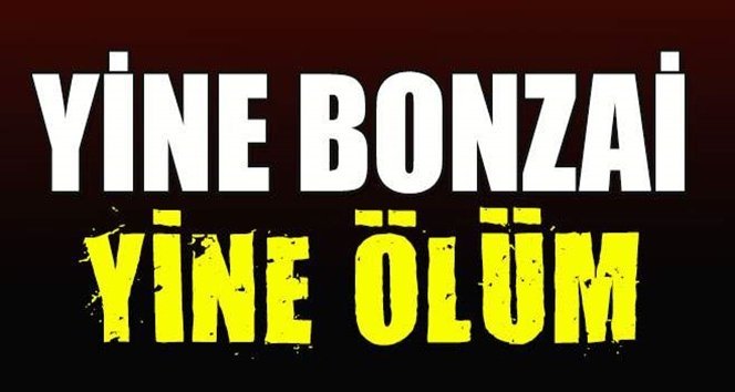 22 yaşındaki genç “Bonzai” kurbanı oldu…