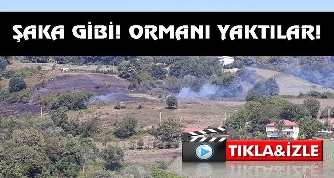 Çaycuma’da yaramaz çocuklar bunu da yaptı!