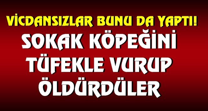 Olay Çaycuma’da yaşandı…