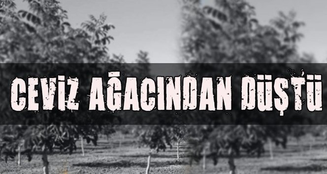 Dengesini kaybetti, yere düştü!.