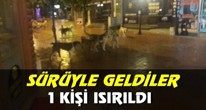 Olayın adresi Çaycuma…