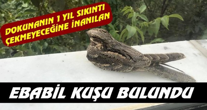 Çaycuma’da bulundu…