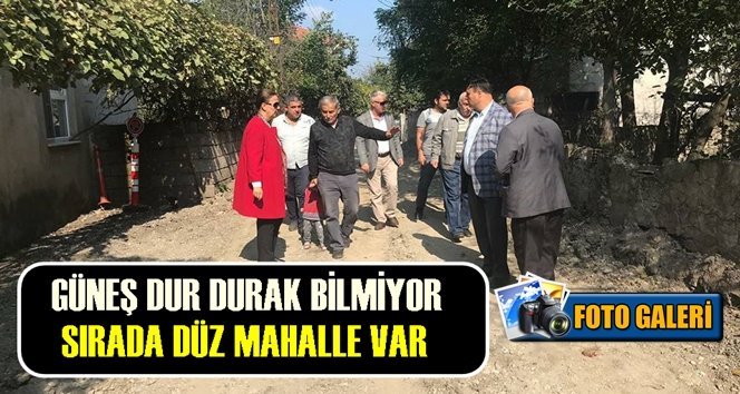 Düz Mahalle yol kaplama çalışmalarına başlandı…