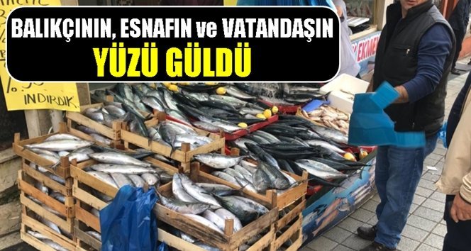 Derya kuzusu bunlar…