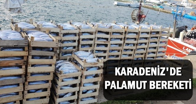 Balıkçılar karaya dolu dolu geldi…