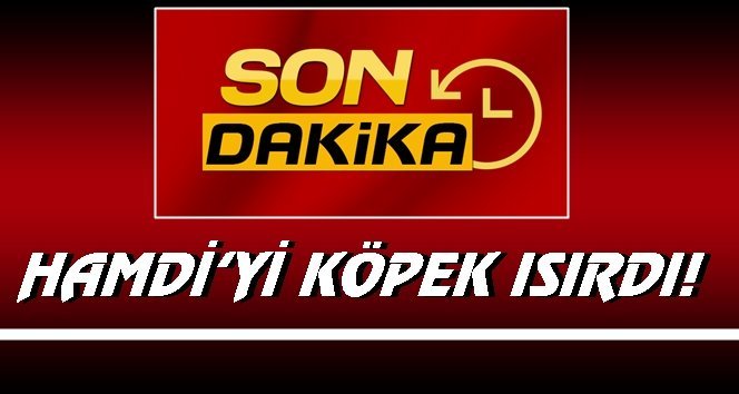 Flaş!…Köpeğin saldırısına uğradı!…