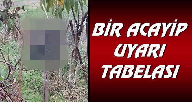 “Çöp Atma D…ü!.”