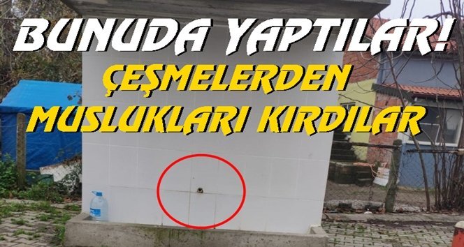 Saltukova’da inanılmaz olay!…