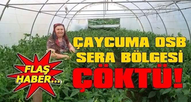 Yatırım programına alınmayan OSB Sera ne oldu?