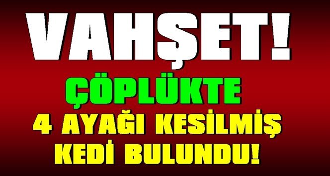 Çöplükte vahşet!.