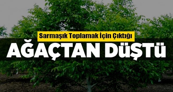 Yaşlı adam hayatını kaybetti…