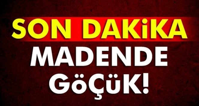 Zehirlenerek hayatını kaybetti…