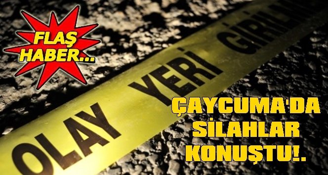 Çaycuma sanayi sitesinde silahlar patladı…