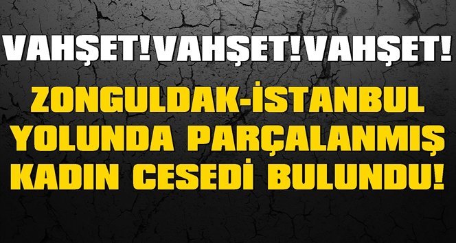 Parçalanmış halde bulundu…